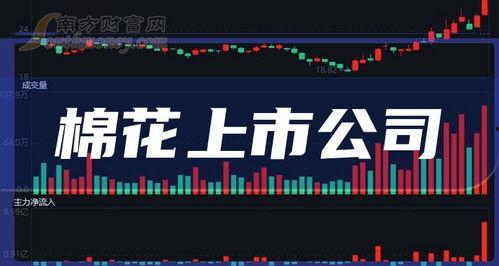 鸣潮爆料最新消息新闻报道,最新新闻报道深度解析